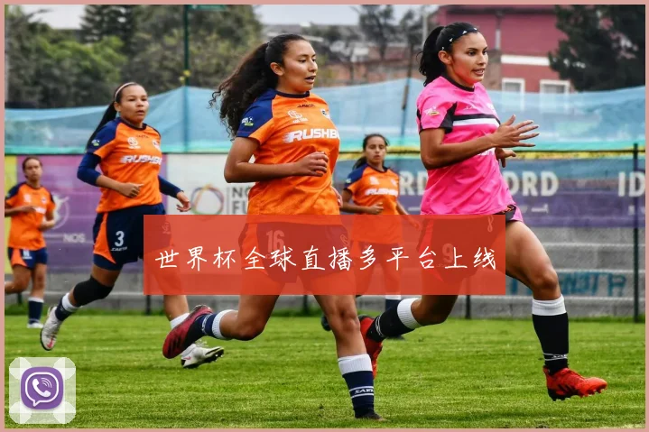 世界杯全球直播多平台上线